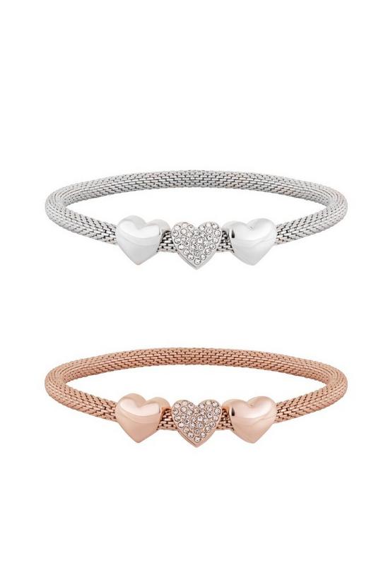 Lipsy Silver and Rose Gold Mesh Charm Bracelet Gift Set 1