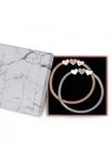 Lipsy Silver and Rose Gold Mesh Charm Bracelet Gift Set thumbnail 3