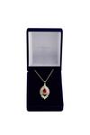 Jon Richard Gift Packaged Gold Plate And Red Cubic Zirconia Pendant Necklace thumbnail 2