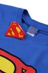 DC Comics Superman Logo Cotton T-Shirt thumbnail 5