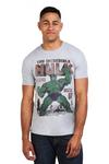 Marvel Hulk Rage Cotton T-shirt thumbnail 1