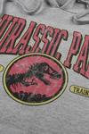 Jurassic Park Survival Park Cotton Hoodie thumbnail 4