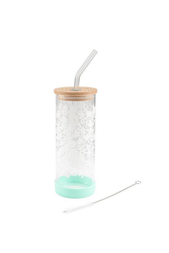 Cambridge Adrienne Glass Water Bottle with Glass Straw 3