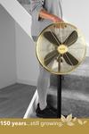 Beldray Black/Gold 16" Standing Pedestal Fan with Adjustable Height thumbnail 5