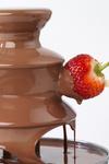 Giles and Posner Electric Chocolate Fountain thumbnail 2