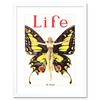 Artery8 Life Magazine 1922 The Flapper Woman Butterfly Dancer Bright Vintage Cover Illustration Framed Wall Art Print Picture 12X16 inch thumbnail 1