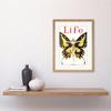 Artery8 Life Magazine 1922 The Flapper Woman Butterfly Dancer Bright Vintage Cover Illustration Framed Wall Art Print Picture 12X16 inch thumbnail 2
