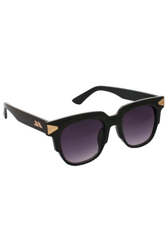 Trespass Blenheim Sunglasses 1