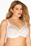 Yours 2 Pack Lace Wired Bras thumbnail 5