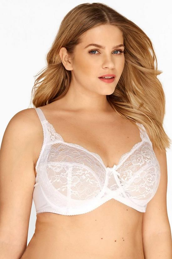 Yours 2 Pack Lace Wired Bras 5
