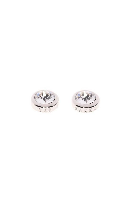 Ted Baker Jewellery Sinaa Stainless Steel Earrings - Tbj1084-01-02 2