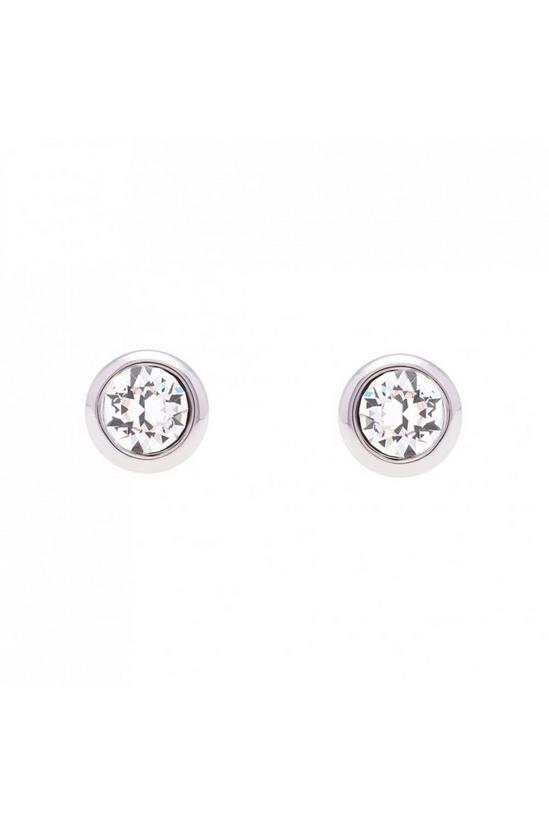 Ted Baker Jewellery Sinaa Stainless Steel Earrings - Tbj1084-01-02 4