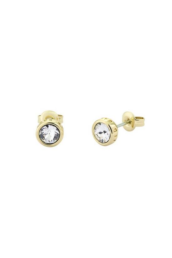Ted Baker Jewellery Sinaa Earrings - Tbj1084-02-02 1