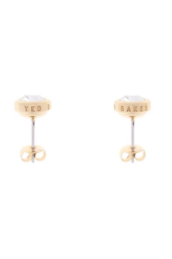 Ted Baker Jewellery Sinaa Earrings - Tbj1084-02-02 2