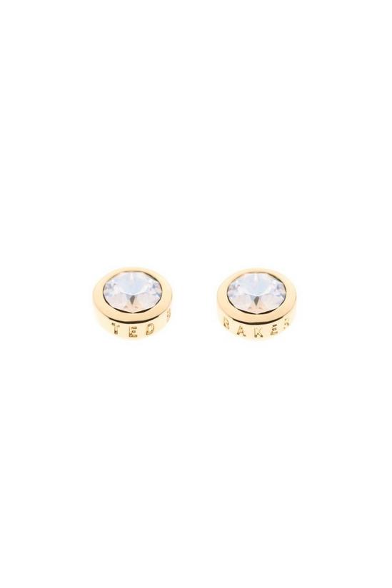 Ted Baker Jewellery Sinaa Earrings - Tbj1084-02-02 3
