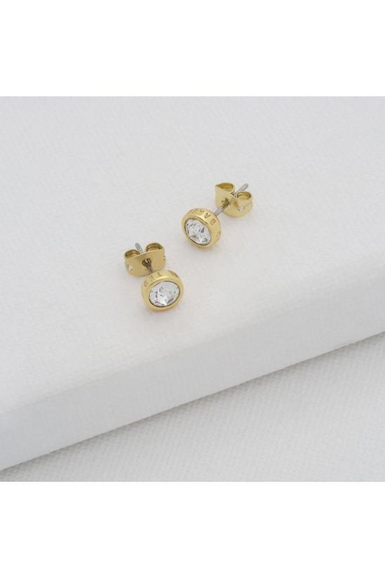 Ted Baker Jewellery Sinaa Earrings - Tbj1084-02-02 4
