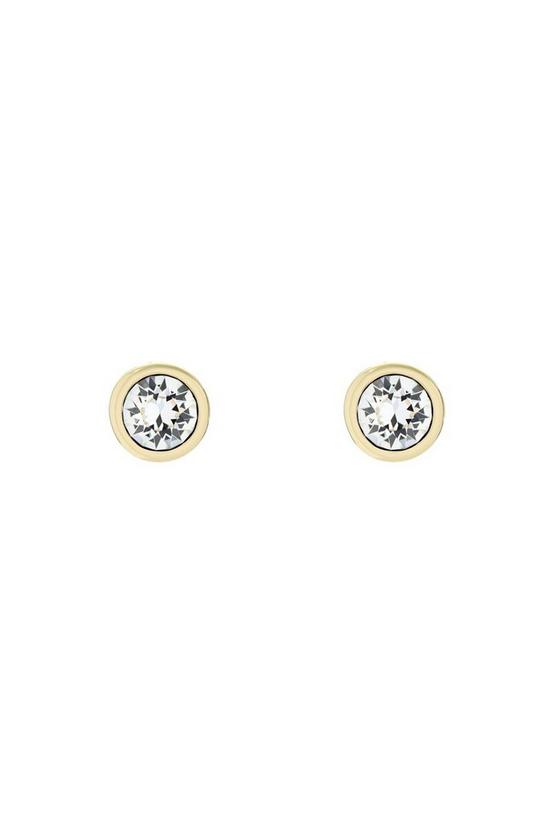 Ted Baker Jewellery Sinaa Earrings - Tbj1084-02-02 5