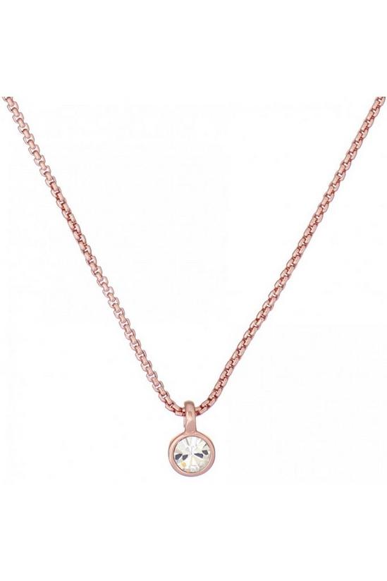 Ted Baker Jewellery Sininaa Necklace - Tbj3034-24-02 1
