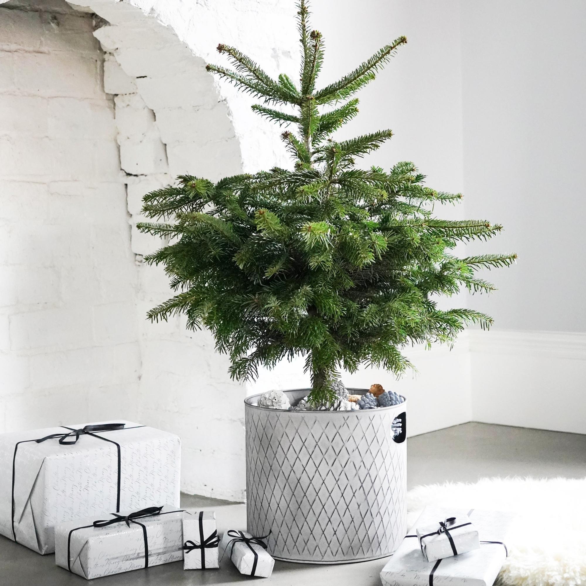 Indoor Christmas Tree Bucket or Log Storage in Zinc - Dimensions: H28cm W28cm