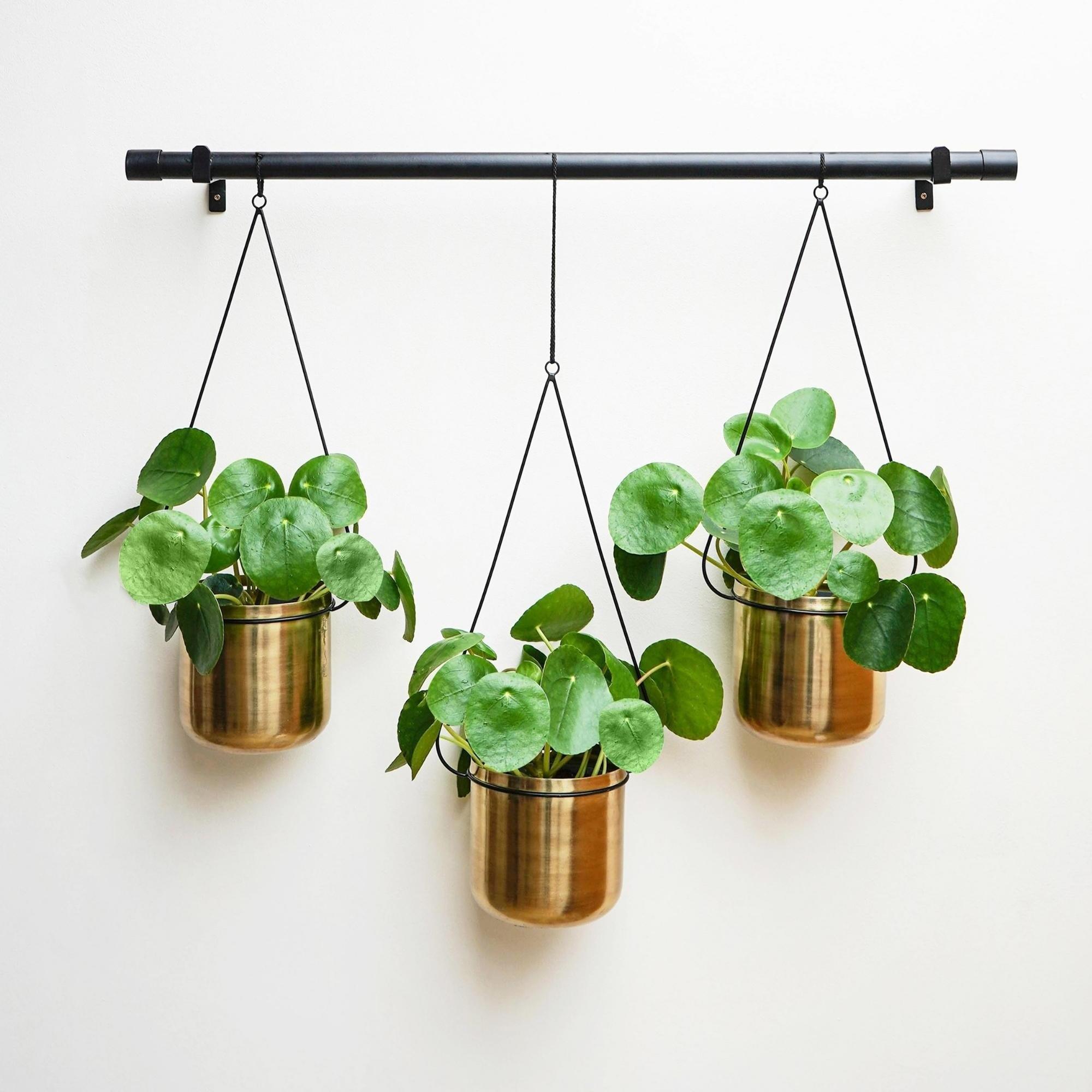 Linear Hanging Planters, Black and Gold