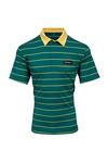 Stromberg 'Augusta' Stripe Golf Polo Shirt thumbnail 1