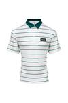 Stromberg 'Augusta' Stripe Golf Polo Shirt thumbnail 1