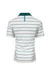 Stromberg 'Augusta' Stripe Golf Polo Shirt thumbnail 2
