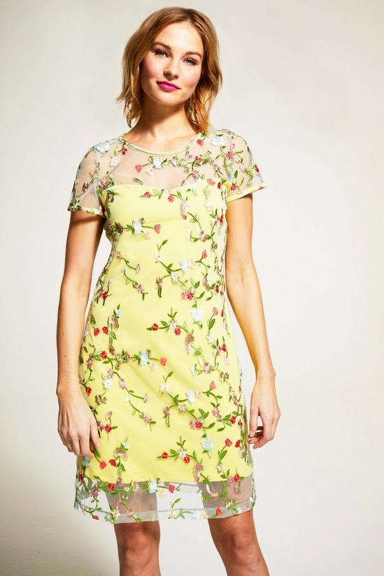 Hot Squash Embroidered Cap Sleeve Party Dress 1