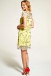 Hot Squash Embroidered Cap Sleeve Party Dress thumbnail 2