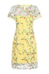 Hot Squash Embroidered Cap Sleeve Party Dress thumbnail 3