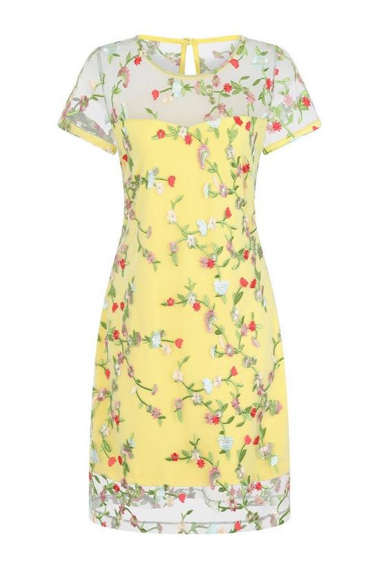 Hot Squash Embroidered Cap Sleeve Party Dress 3