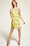 Hot Squash Embroidered Cap Sleeve Party Dress thumbnail 4