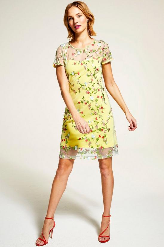 Hot Squash Embroidered Cap Sleeve Party Dress 4