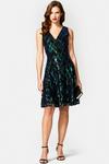 Hot Squash Sequin V Neck Fit and Flare Dress thumbnail 1