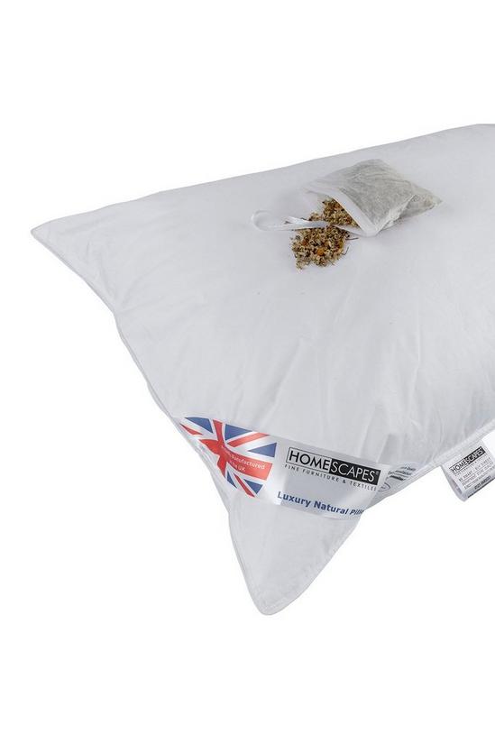 Homescapes Goose Feather & Down Camomile Pillow Dried Camomile Insert Extra Fill 6