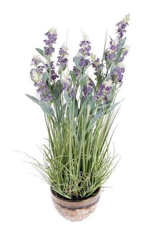 Homescapes Artificial Lavender Plant in Decorative Metallic Ceramic Pot, 66 cm 4