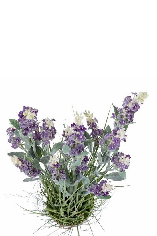 Homescapes Artificial Lavender Plant in Decorative Metallic Ceramic Pot, 66 cm 5