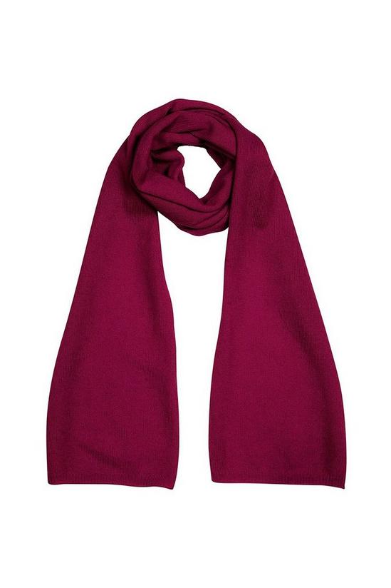 Pure Luxuries London 'Oxford' 100% Cashmere Scarf 1
