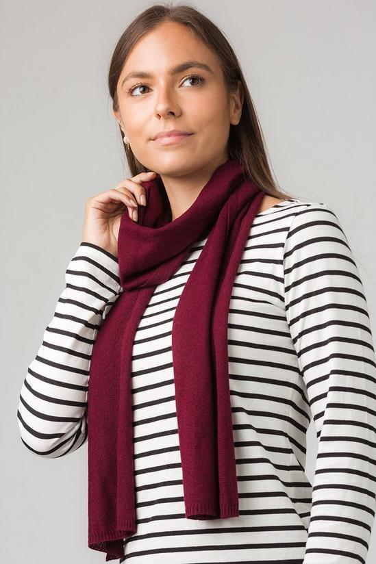 Pure Luxuries London 'Oxford' 100% Cashmere Scarf 2