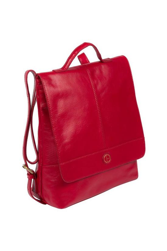 Pure Luxuries London 'Pembroke' Leather Backpack 5