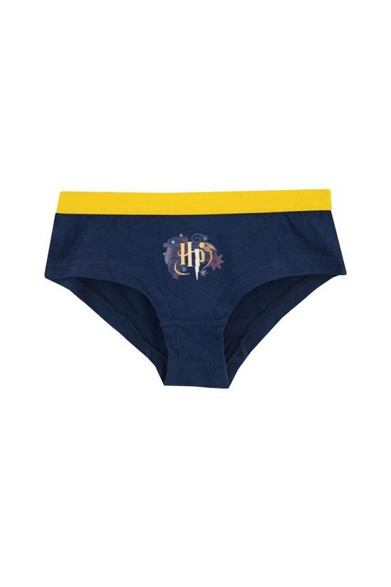 Underwear & Socks, Harry Potter Underwear 5 Pack