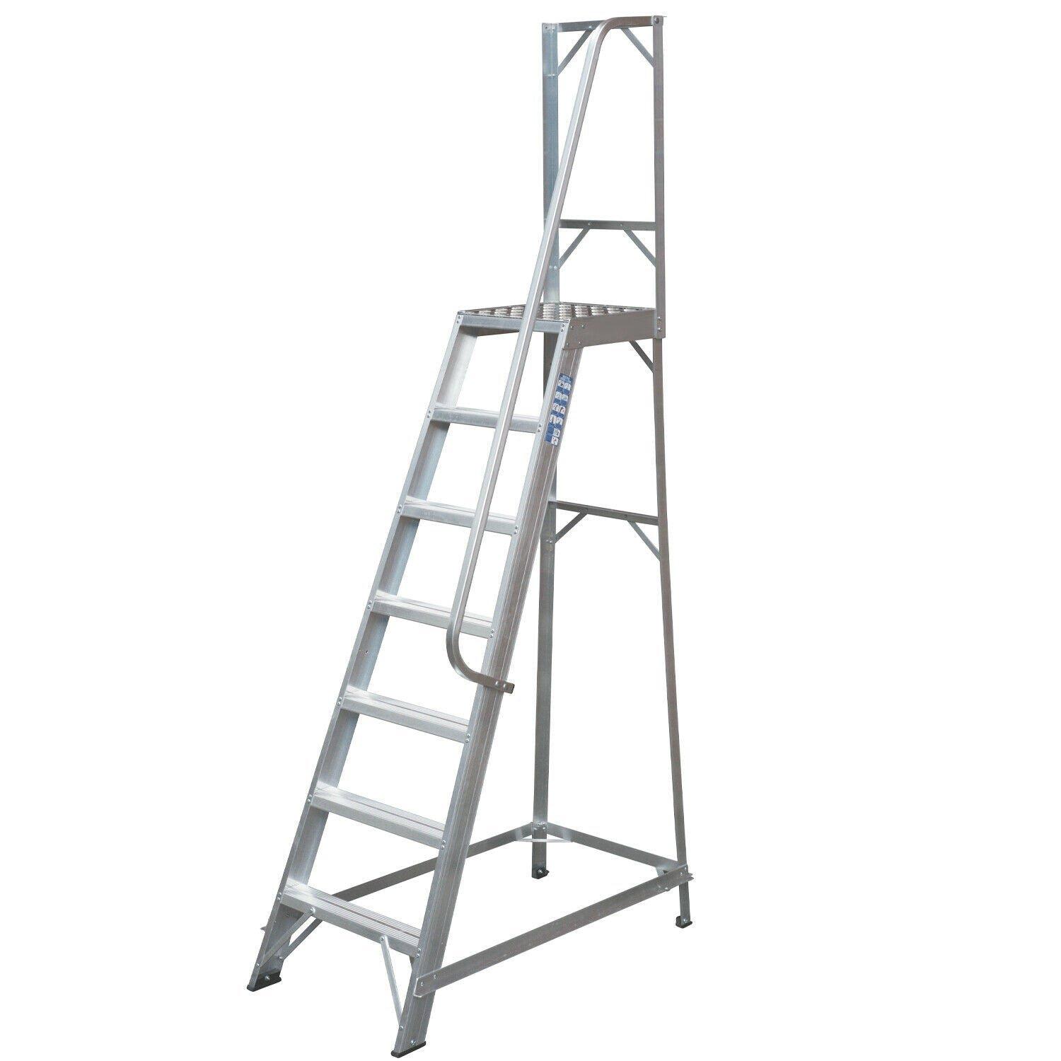 1.7m Heavy Duty Single Sided Fixed Step Ladders Handrail Platform Safety Barrier