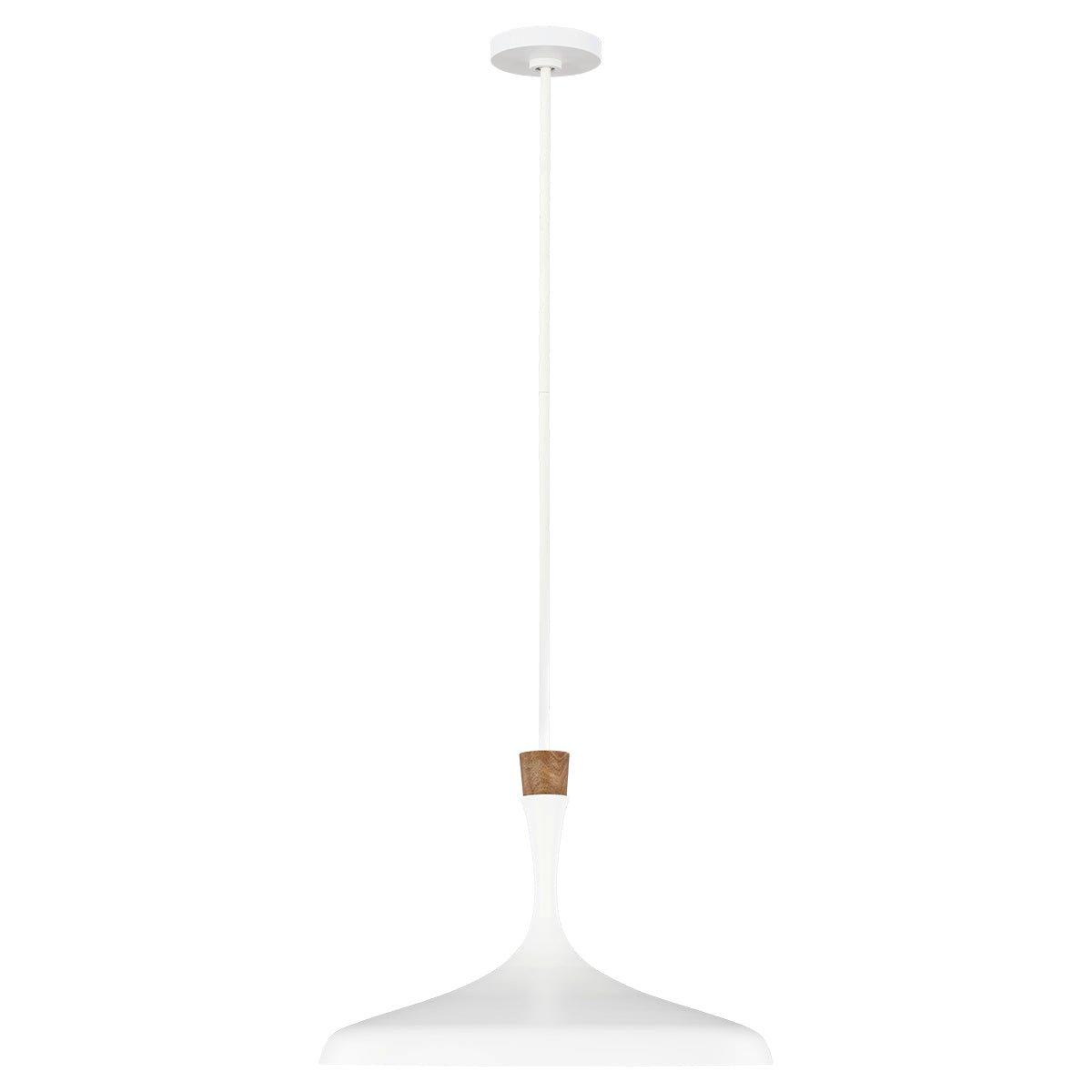 1 Bulb Ceiling Pendant Light Fitting Matte White LED E27 60W Bulb