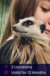 Activity Superstore Meerkat Encounter for Two Gift Experience thumbnail 1