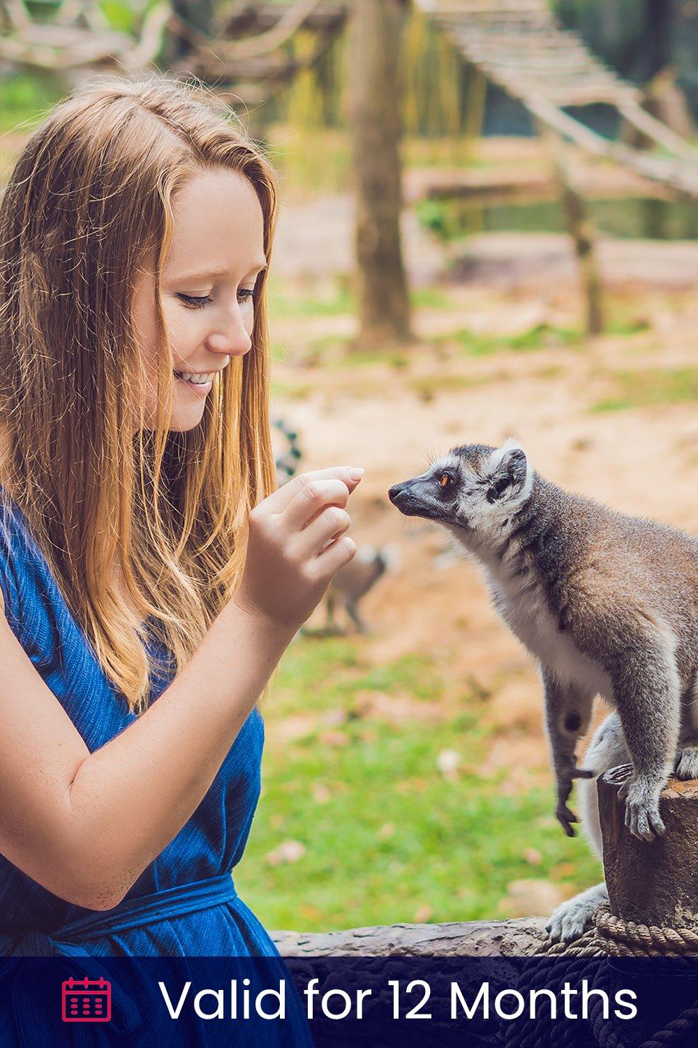 Meet the Meerkats, Servals and Lemurs at Hoo Farm for Two Gift Experience