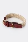 Hugo & Hudson Flat Rope and Leather Pet Dog Collar thumbnail 3