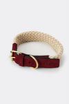Hugo & Hudson Flat Rope and Leather Pet Dog Collar thumbnail 3