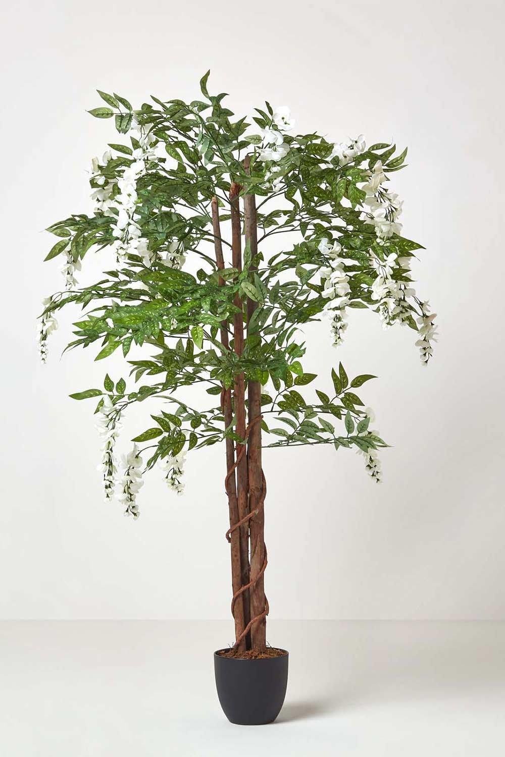 Cream Artificial Wisteria Tree with Twisted Real Wood Trunk, 5 Ft