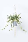 Homescapes Artificial Hanging Basket Spider Plant, 95 cm thumbnail 1