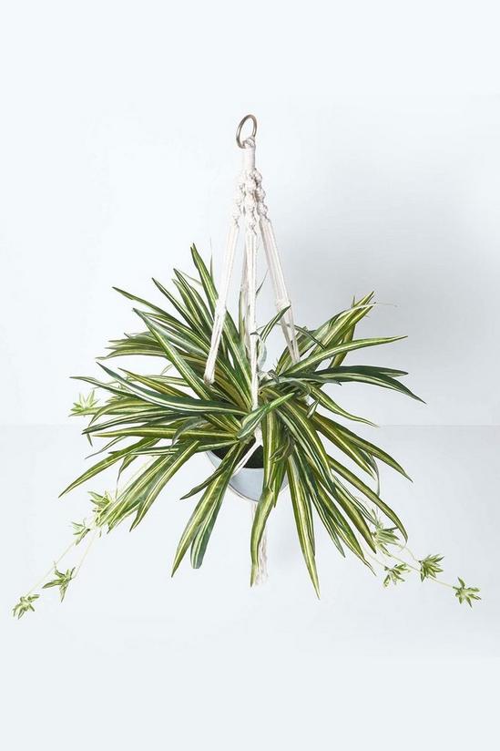 Homescapes Artificial Hanging Basket Spider Plant, 95 cm 2